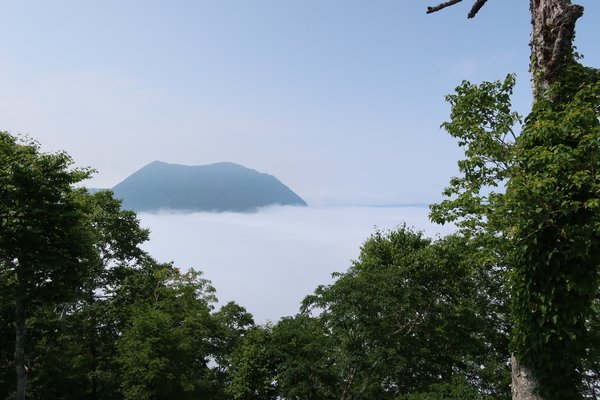 �������W�]��