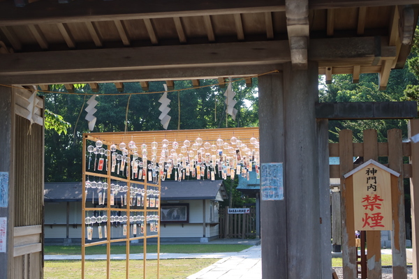 �����䗅�_��