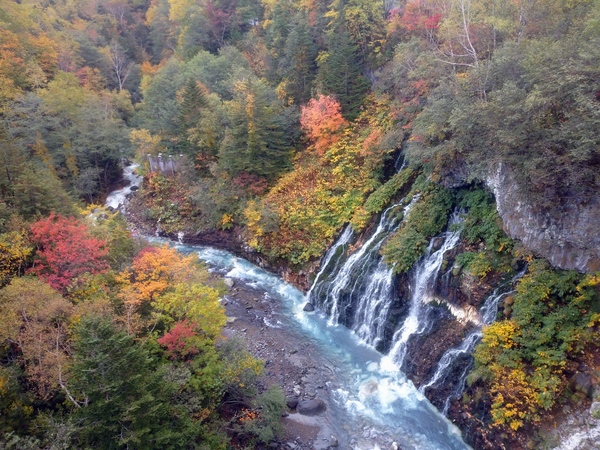 ���Ђ��̑�