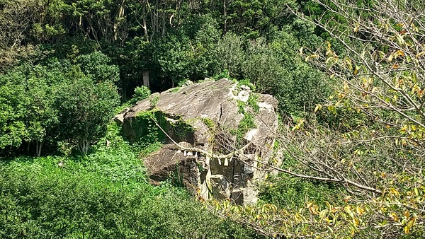 �����֌���