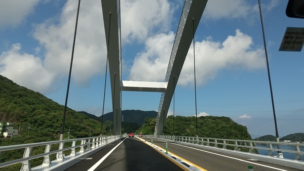 �V���܋��i�p�[�����C���j