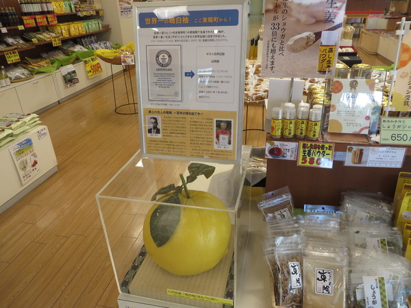 ���̉w ���z