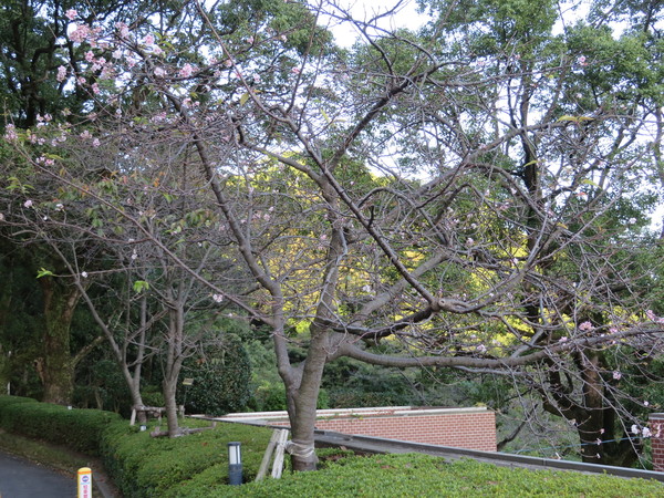 SHIROYAMA HOTEL kagoshima