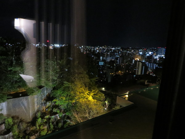 SHIROYAMA HOTEL kagoshima