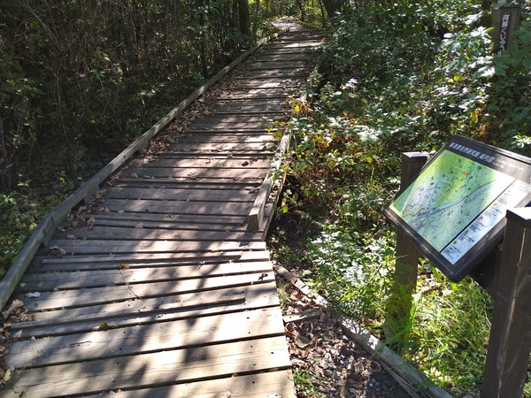 �^�f������