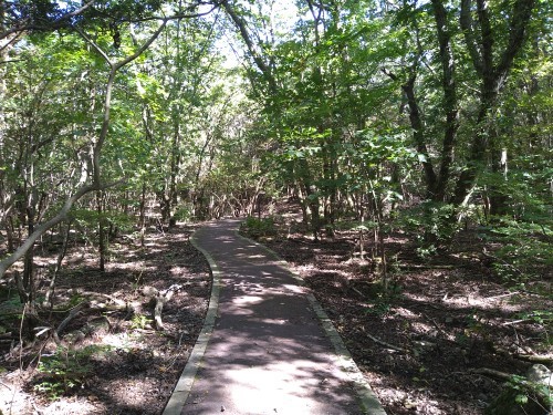 �^�f������