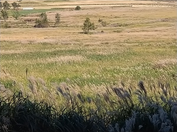 �^�f������