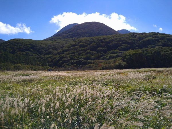 �^�f������