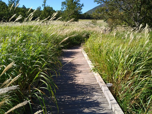 �^�f������