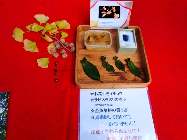 ���������{