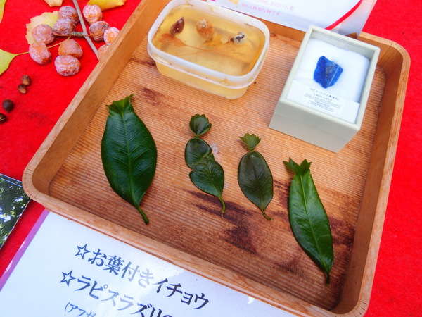 ���������{