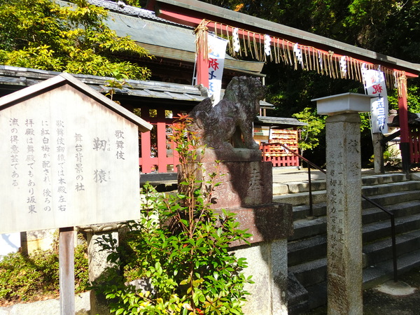 ���������{