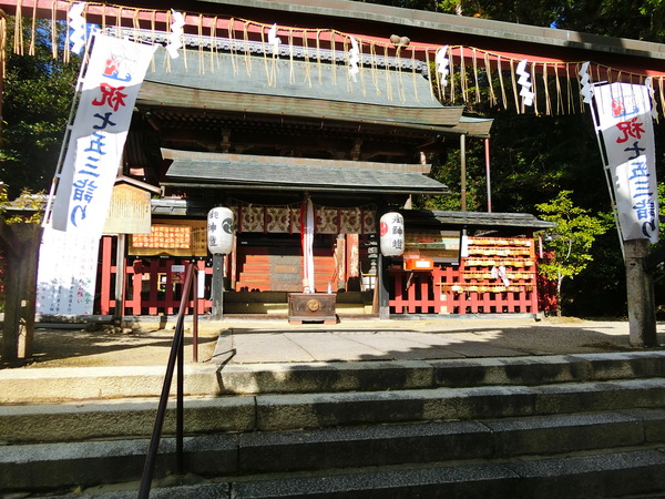 ���������{