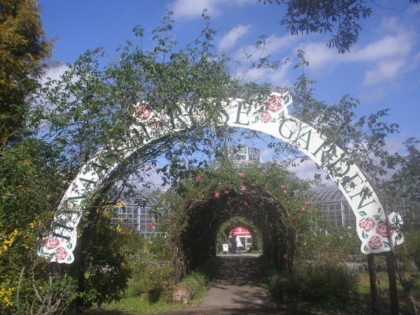 ASO MILK FACTORYi͂Ȉhj