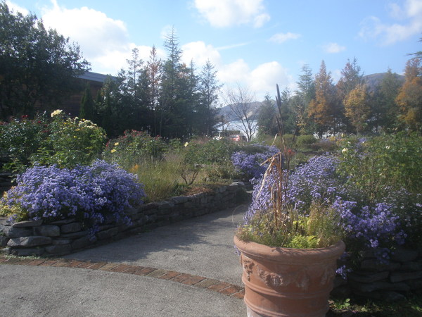 ASO MILK FACTORYi͂Ȉhj