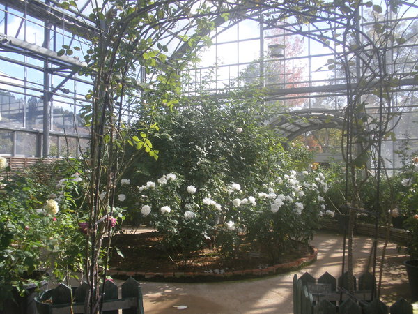 ASO MILK FACTORYi͂Ȉhj