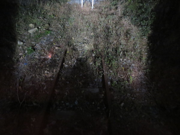 �N���[�Y�g���C���u�ȂȂ�in��B�v