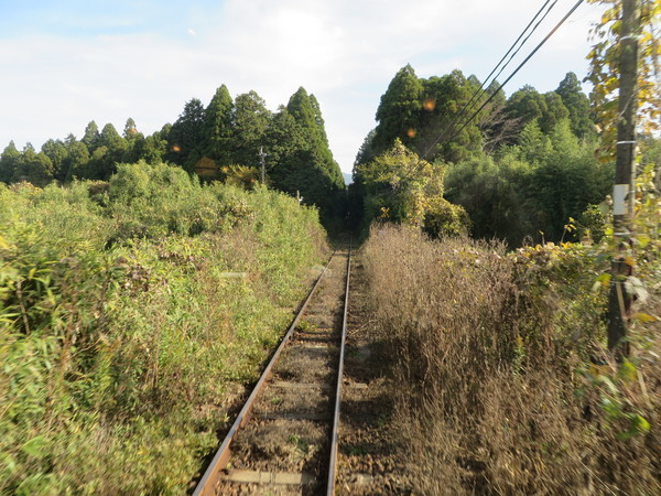 �N���[�Y�g���C���u�ȂȂ�in��B�v