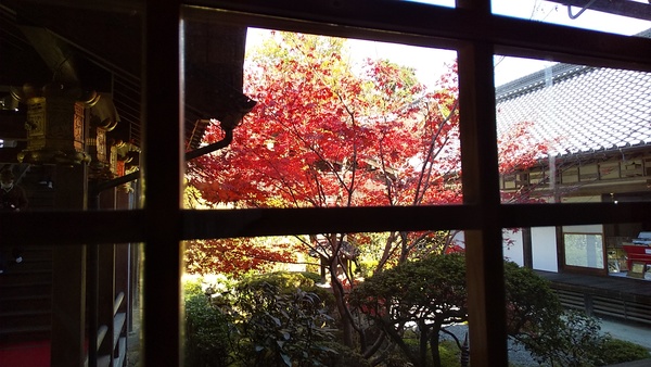 ���R��y�@���{�R������