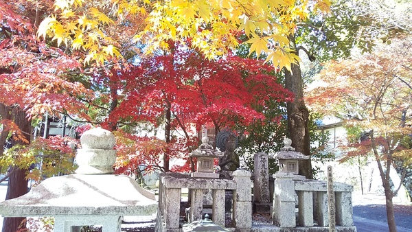 ���R��y�@���{�R������