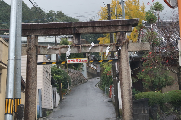 �O����a�_��