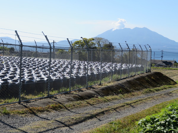 �⌳�������낷���� �┨