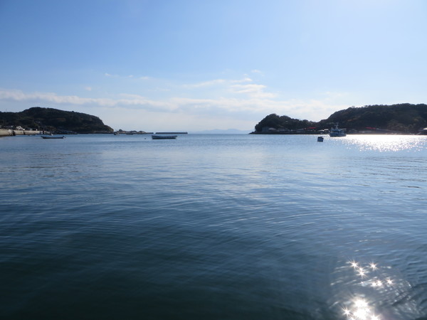 �C���J�E�H�b�`���O ���V�Êό��D