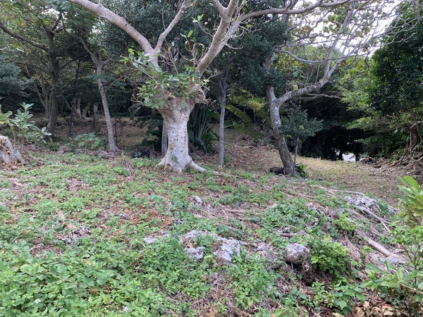 �Ԃ�Ԃ�����