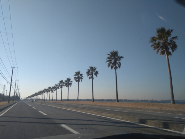 ���P�Y�C�l����