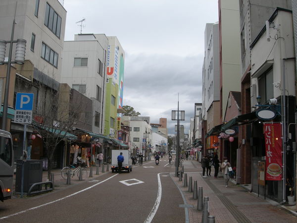 ���Ђ߈���i�������j�̊ό����Y��