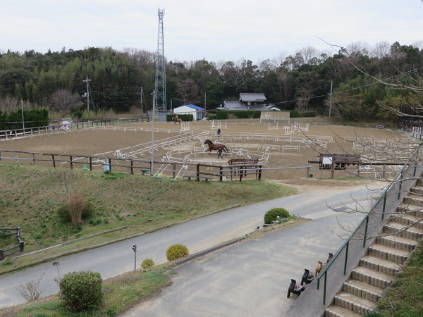 ��n�N���u �N���C�����X��