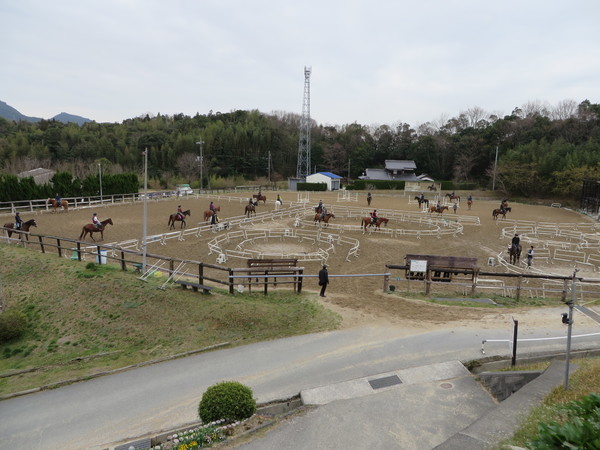 ��n�N���u �N���C�����X��