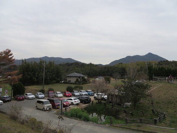 ��n�N���u �N���C�����X��