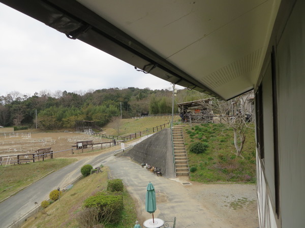 ��n�N���u �N���C�����X��