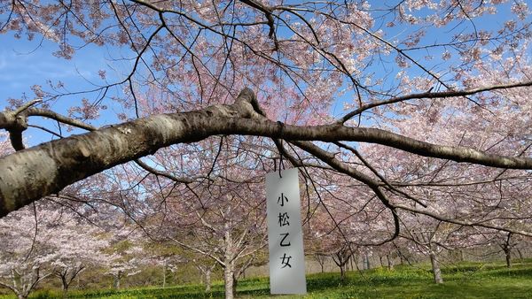 �������� ��������̗�