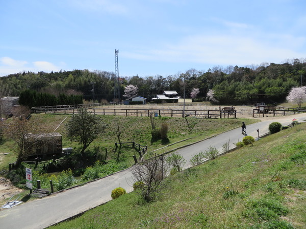 ��n�N���u �N���C�����X��