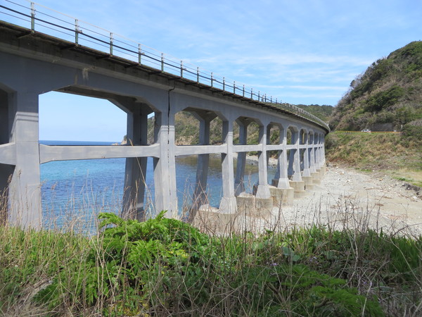 �y���싴��