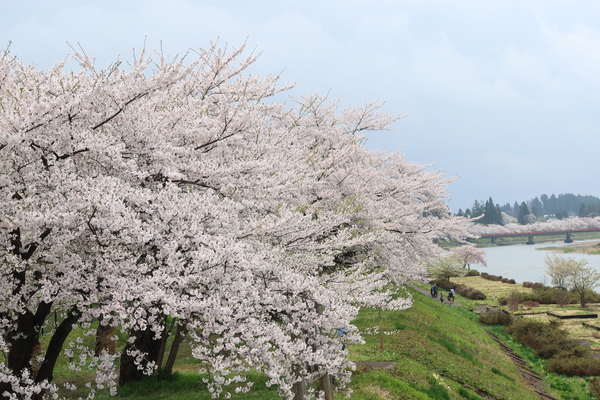 �O�ؓ����̍�����