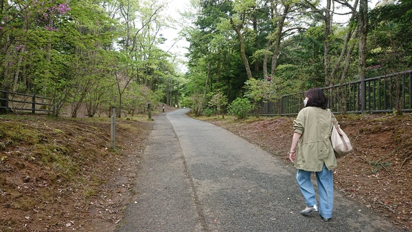 �����k���L��i�Z�a�̑�E�T��̓��A�j