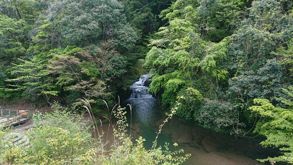 �����k���L��i�Z�a�̑�E�T��̓��A�j