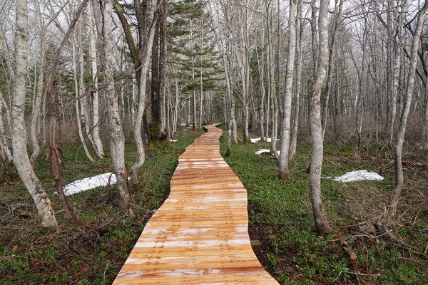 �ˉB�X�ѐA����