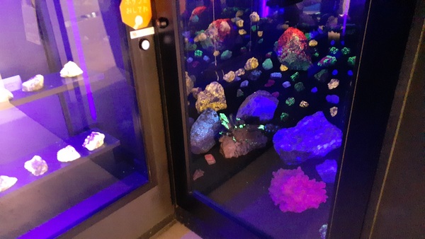 �������~���[�W�A��