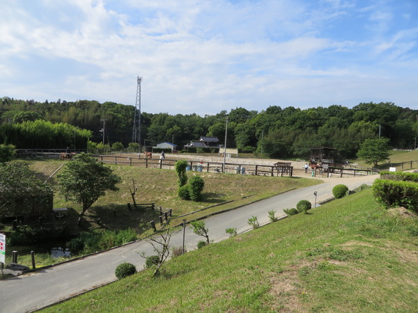 ��n�N���u �N���C�����X��