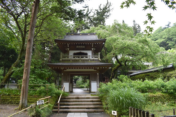 �O��i��q���j