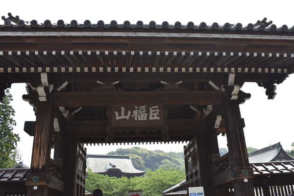 �������O��