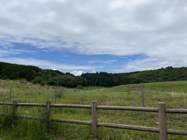 �t�@�[�����[�hWAITA