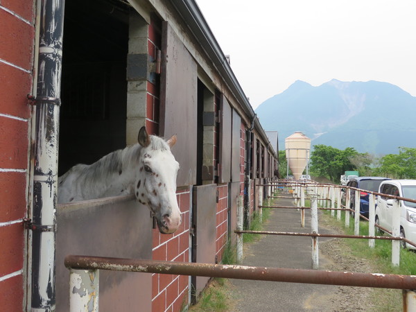 乗馬クラブクレイン 湯布院の写真一覧 じゃらんnet