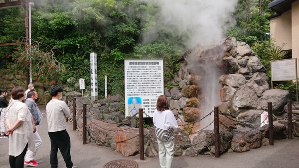 �����n��