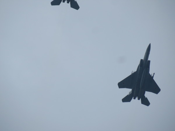 �q�󎩉q���V�c����n