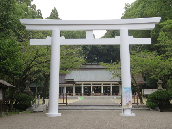 �{�茧�썑�_��